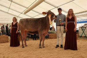 Mention Honorable Gesamtchampion BS PAPA SCHLUMPF PASCAL